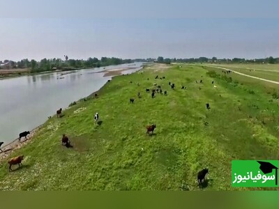 (ویدئو) شگفتی‌های بوجاق؛ نخستین پارک ملی «خشکی-دریایی» ایران