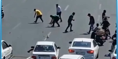 اینجا تهران است! لحظه‌ای که همه برای چند جوجه اردک دست به دست شدند