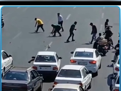 اینجا تهران است! لحظه‌ای که همه برای چند جوجه اردک دست به دست شدند