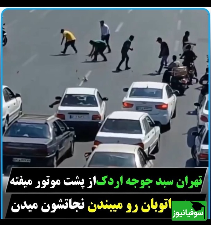 اینجا تهران است! لحظهای که همه برای چند جوجه اردک دست به دست شدند