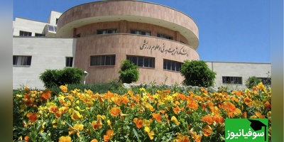 (ویدیو) نگاهی به دانشگاه خوارزمی در طبیعت باییزی/ محیطی جادویی و رویایی که حس می‌کنید در دل یک نقاشی زندگی می‌کنید🤩