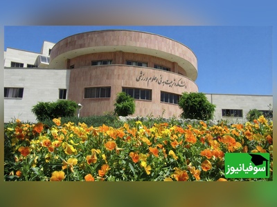 (ویدیو) نگاهی به دانشگاه خوارزمی در طبیعت باییزی/ محیطی جادویی و رویایی که حس می‌کنید در دل یک نقاشی زندگی می‌کنید🤩