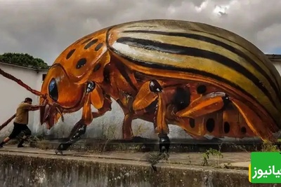 شاهکارهای سه‌بعدی که خیابان‌ها را به گالری زنده تبدیل کرده‌اند/ از خیابان‌های پرتغال تا ذهن شما