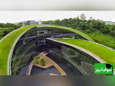 ویدیو/ دانشگاه هاروارد آمریکا یا دانشگاه ملی سنگاپور؟