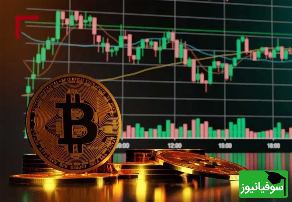 لیست کامل ارزهای دیجیتال امروز 13 آبان 1404/ بیت کوین به خاک و خون کشیده شد!