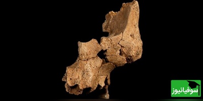 عکس | رازآلودترین چهره تاریخ / کشف قدیمی‌ترین فسیل انسانی در اروپای غربی