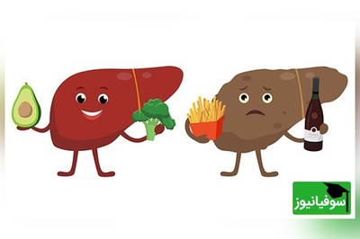 رژیم 7 روزه معجزه‌آسا برای کبدچرب + چه بخوریم، چه نخوریم؟