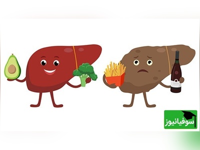 رژیم 7 روزه معجزه‌آسا برای کبدچرب + چه بخوریم، چه نخوریم؟