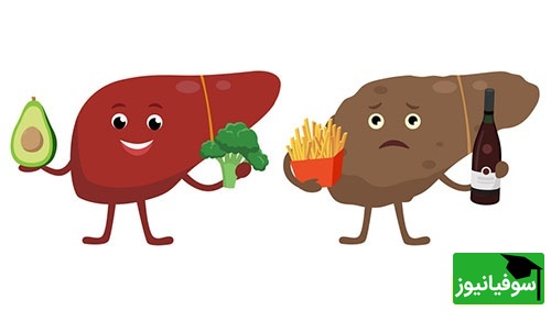 رژیم 7 روزه معجزه‌آسا برای کبدچرب + چه بخوریم، چه نخوریم؟