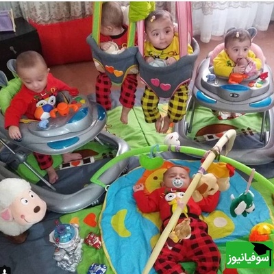 خلاقیت تحسین برانگیز و  خنده دار یک زوج باهوش برای سفارش کالسکه 6قلوهایشان حماسه‌ای آفرید جهانی/ نبینی از دستت رفته😂