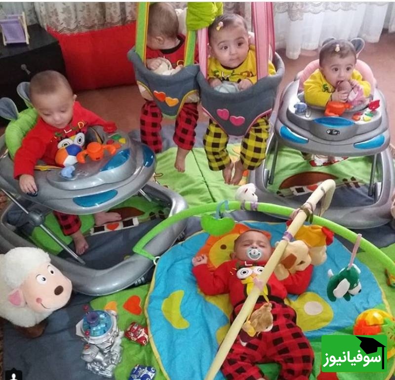 خلاقیت تحسین برانگیز و  خنده دار یک زوج باهوش برای سفارش کالسکه 6قلوهایشان حماسه‌ای آفرید جهانی/ نبینی از دستت رفته😂