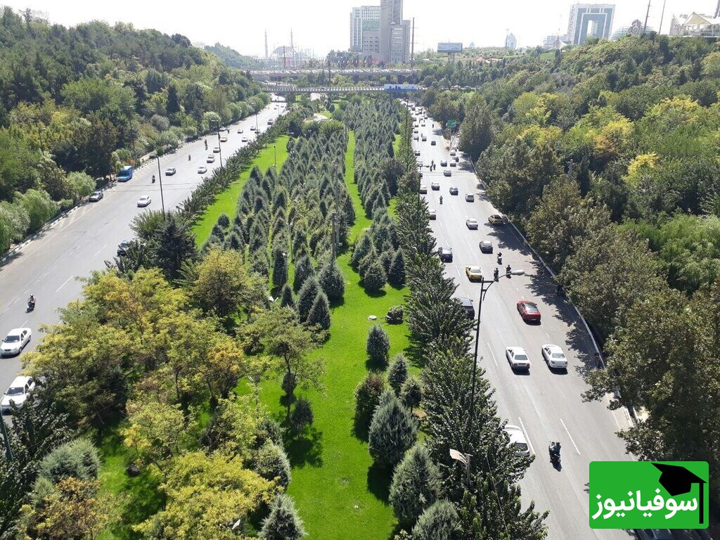 (عکس) تاثیر شگفت‌انگیز پوشش درختان در دمای مناطق شهری/ هرگز فکر نمی‌کردید کاشت یک درخت، اینقدر روی زندگی‌تان تاثیرگذار باشد!