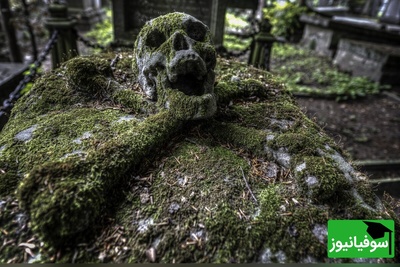 خانه‌ای بر فراز مرگ؛ کشف گورستان باستانی زیر منزل مرد فرانسوی + تصاویر