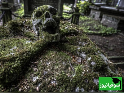 خانه‌ای بر فراز مرگ؛ کشف گورستان باستانی زیر منزل مرد فرانسوی + تصاویر