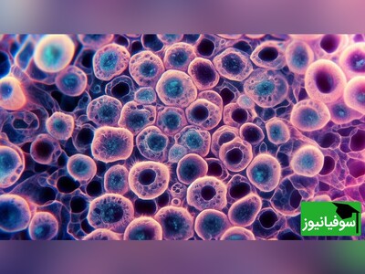 (ویدئو) سلول‌ها صدا می‌زنند، اما پاسخی از انسان دریافت نمی‌کنند