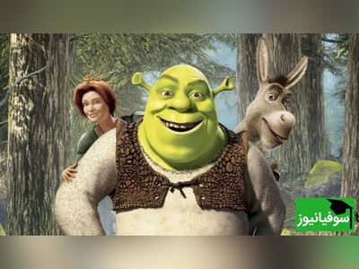 ویدئو| یادگیری زبان انگلیسی با انیمیشن جذاب شرک | همراه با زیرنویس فارسی چسبیده