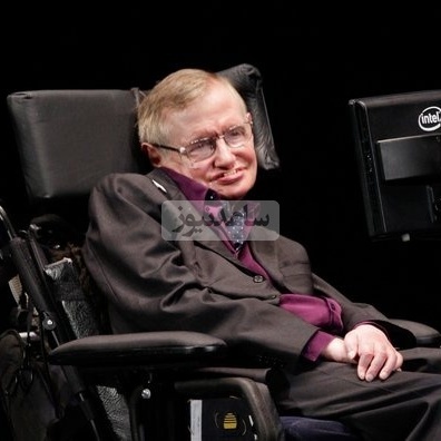 بازی فکری؛ اگه ضریب هوشیت با «استیون هاوکینگ» یکیه تو کمتر از 6 ثانیه بگو آقا گربه‌ها کجا قایم شدن؟!