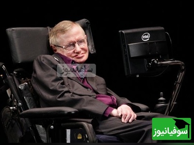 بازی فکری؛ اگه ضریب هوشیت با «استیون هاوکینگ» یکیه تو کمتر از 6 ثانیه بگو آقا گربه‌ها کجا قایم شدن؟!