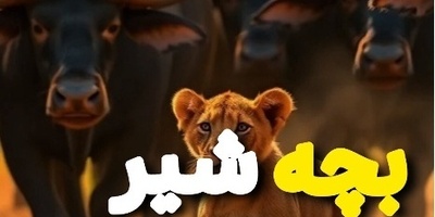 (ویدئو) مستند حیات وحش حیوانات/ ماجرای امروز راز بقا: پایانی تلخ در نبردی نفس‌گیر برای بچه شیری که در زمان و مکان اشتباهی بود