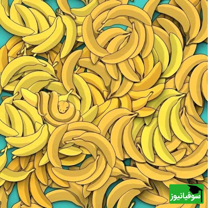 مار