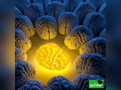 ویدیو/ چرا افراد باهوش شاد نیستند؟/ نظر رتبۀ 1 کنکور را ببینید