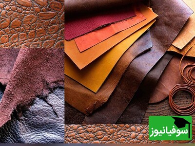 (ویدئو) چرم گیاهی، بهترین جایگزین چرم حیوانی و دوستدار محیط زیست!