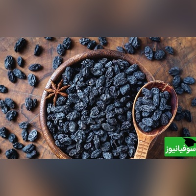 ویدیو/ مویز، واژه‌ای عجیب که فقط در فرهنگ لغت ایرانیان یافت می‌شود