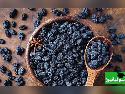 ویدیو/ مویز، واژه‌ای عجیب که فقط در فرهنگ لغت ایرانیان یافت می‌شود