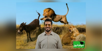 مستند حیات وحش خنده دار با امیرحسین قیاسی:این داستان: شیر و الاغ/ نظرتون چیه کدوم برندست؟😂