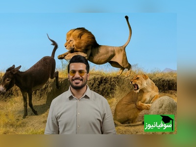 مستند حیات وحش خنده دار با امیرحسین قیاسی:این داستان: شیر و الاغ/ نظرتون چیه کدوم برندست؟😂