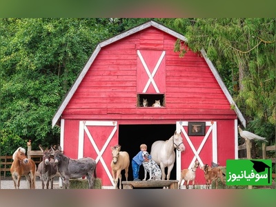 خطای دید اختصاصی نوابغ/ حتی افرادی با ضریب هوشی بالا نمی‌توانند همسر کشاورز را در "مزرعه" را پیدا کنند