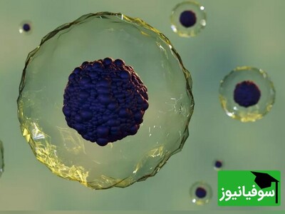 این ویدئو را ببینید و حیرت‌زده شوید / دانشمندان موفق به ثبت حرکات "پروتئین‌لیپید" شدند