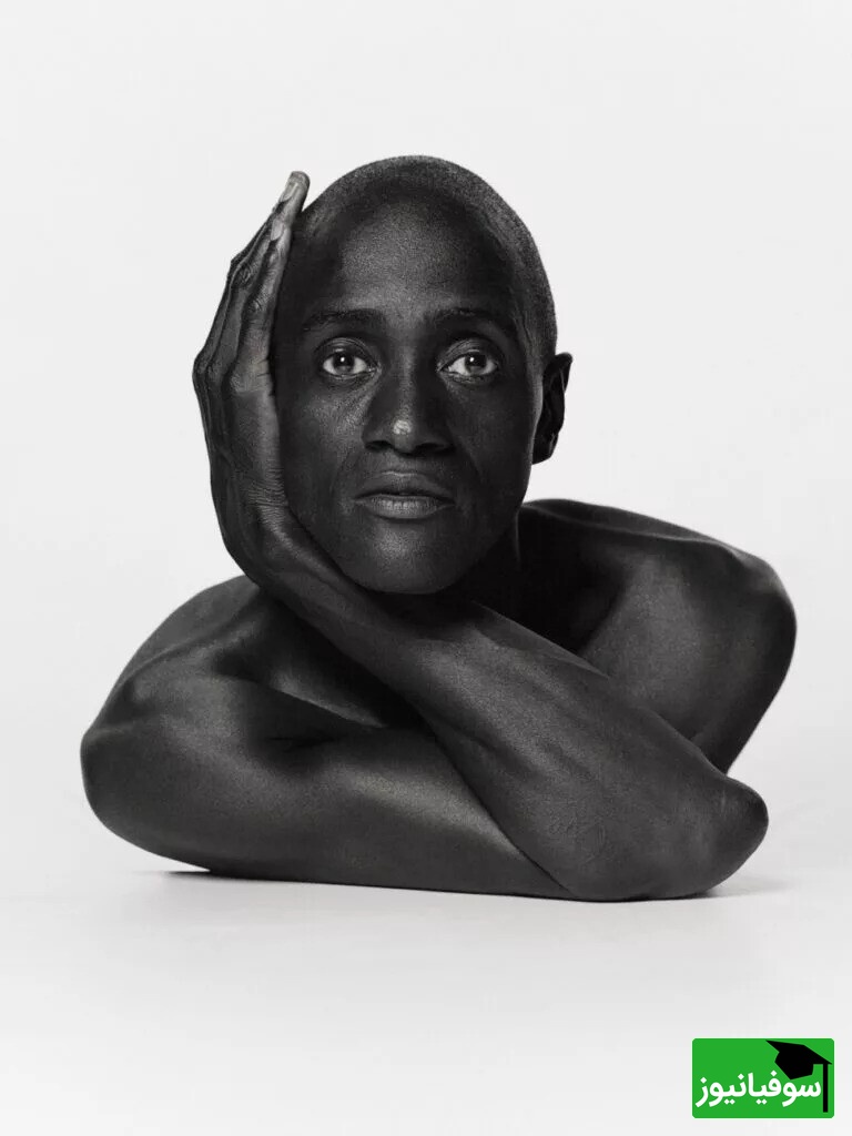 (عکس) شگفتی‌های ثبت‌شده در قاب؛ برترین تصاویر مسابقه عکاسی خلاقانه 2024 از بهار دزدیده‌شده تا قلمرو جادویی پینوکیو