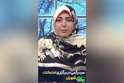 انتقاد المیرا شریفی مقدم از نحوه اطلاع رسانی و تعطیلی مدارس در تهران+ فیلم