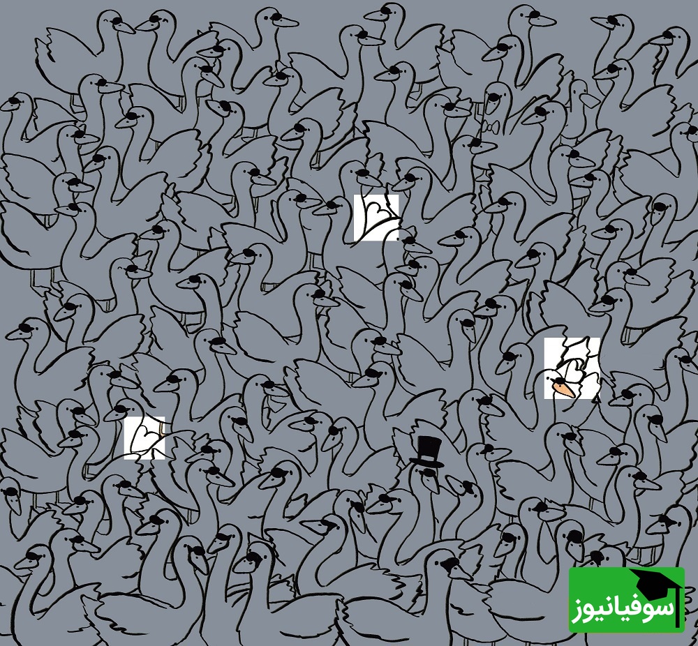 پاسخ
