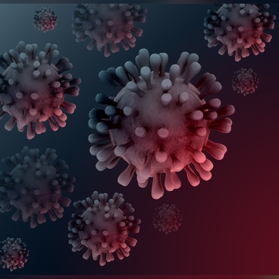 هند در وحشت: ویروس نیپا دو پرستار را مبتلا کرد!