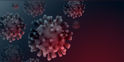 هند در وحشت: ویروس نیپا دو پرستار را مبتلا کرد!