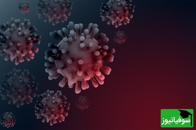 هند در وحشت: ویروس نیپا دو پرستار را مبتلا کرد!