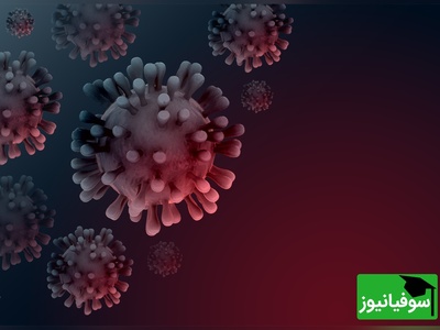 هند در وحشت: ویروس نیپا دو پرستار را مبتلا کرد!