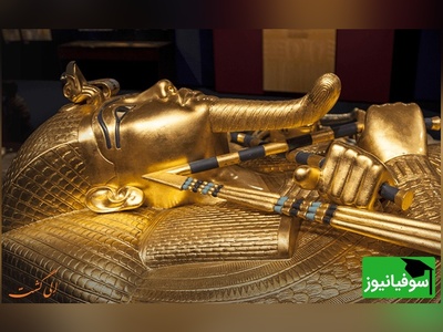 (ویدیو) مومیایی‌هایی که زمان حریفشان نشد!/ راز شگفت‌انگیز بقای هزارساله در مصر باستان