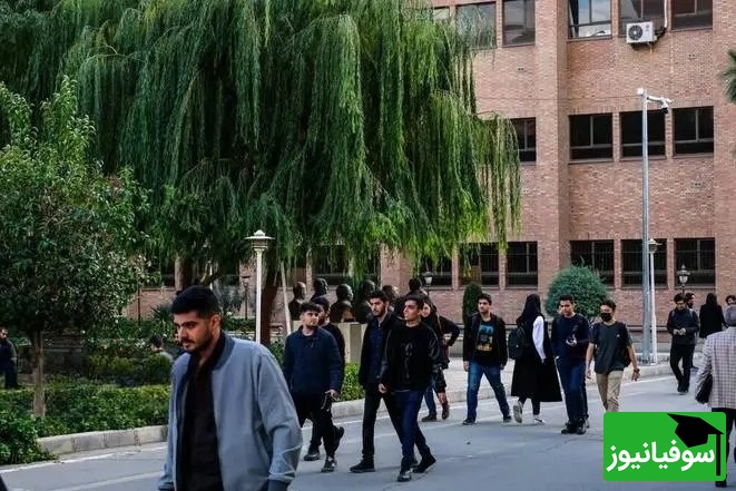 دانشگاه