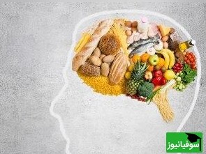(ویدئو) با خوردن این خوراکی‌ها قبولی در کنکور را تضمین کنید! / خوراکی‌هایی که منجر به تقویت حافظه می‌شوند را بشناسید