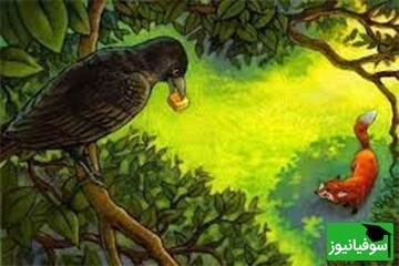 داستان قدیمی روباه و زاغ به واقعیت پیوست!