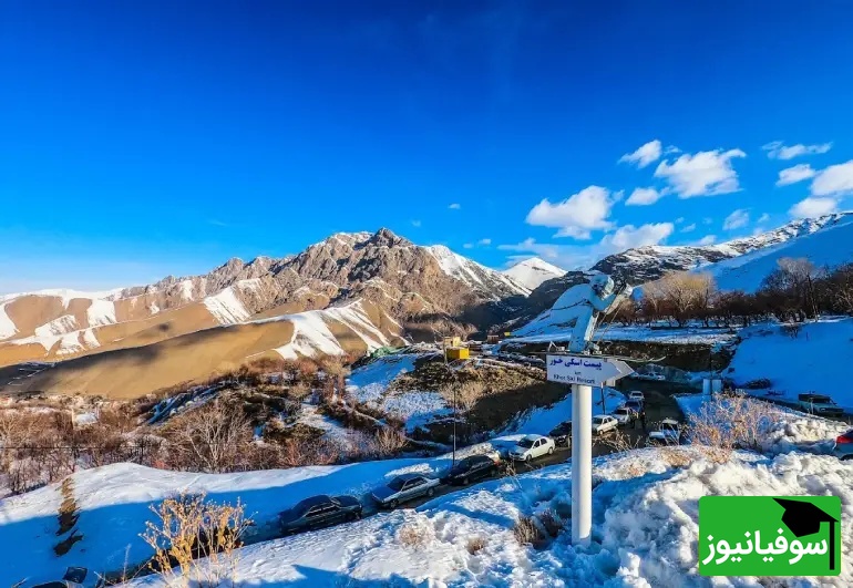 ل