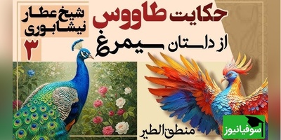 داستان‌های کوتاه و زیبایی که باید بشنوید/ منطق الطیر عطار، بخش 3؛ شکوه و زینت خیره‌کننده طاووس و دانش هُدهُد/ حکایت رانده شدن آدم از بهشت