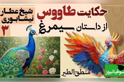 داستان‌های کوتاه و زیبایی که باید بشنوید/ منطق الطیر عطار، بخش 3؛ شکوه و زینت خیره‌کننده طاووس و دانش هُدهُد/ حکایت رانده شدن آدم از بهشت