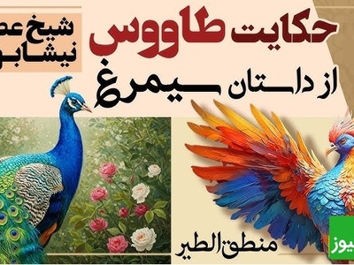 داستان‌های کوتاه و زیبایی که باید بشنوید/ منطق الطیر عطار، بخش 3؛ شکوه و زینت خیره‌کننده طاووس و دانش هُدهُد/ حکایت رانده شدن آدم از بهشت