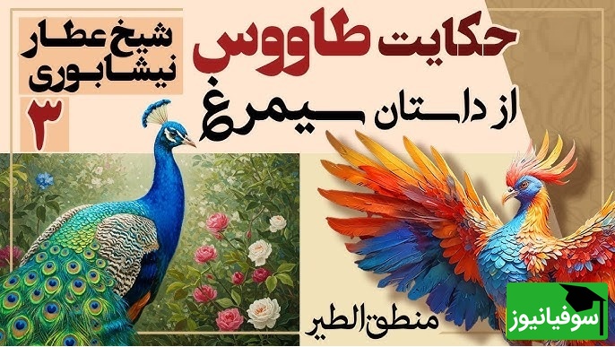 داستانهای کوتاه و زیبایی که باید بشنوید/ منطق الطیر عطار، بخش 3؛ شکوه و زینت خیرهکننده طاووس و دانش هُدهُد/ حکایت رانده شدن آدم از بهشت