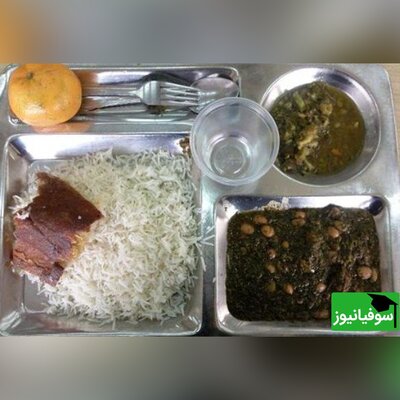 (ویدئو) شوخی با غذای سِلف دانشگاه در سریال گرگ و میش/ دیگه دانشگاه قرمه‌سبزی نمی‌خورن