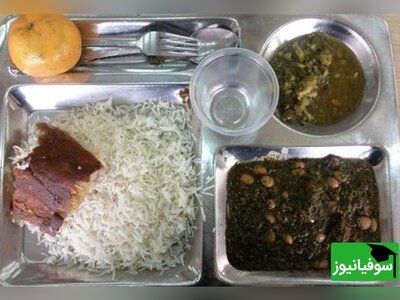 (ویدئو) شوخی با غذای سِلف دانشگاه در سریال گرگ و میش/ دیگه دانشگاه قرمه‌سبزی نمی‌خورن